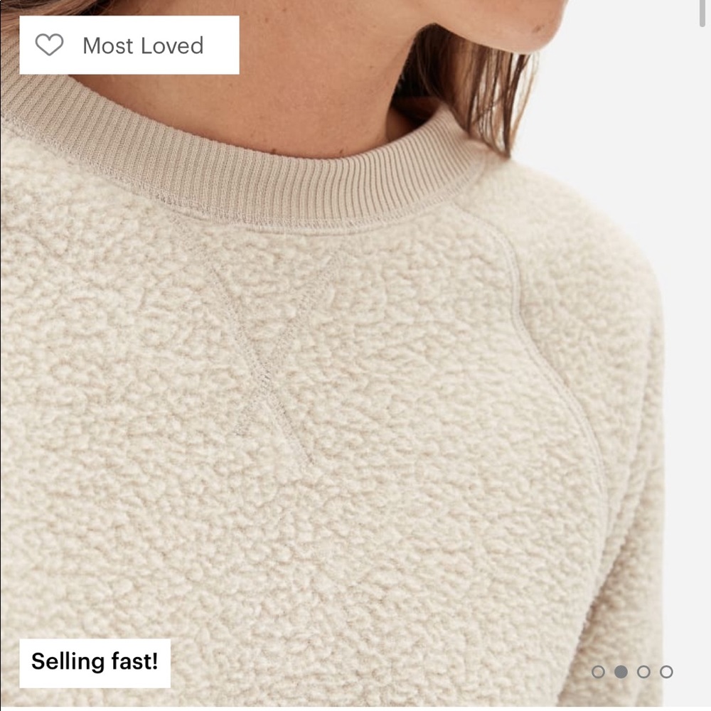 Everlane Renew fleece